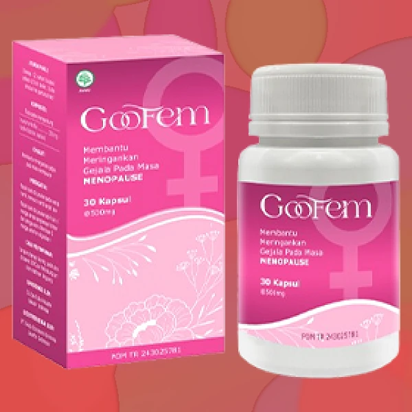 GOOFEM